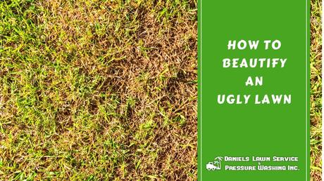 How to Beautify an Ugly Lawn