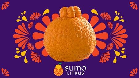 The Original Sumo Citrus®
