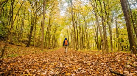 10 Best Multiday Hikes in Connecticut 10 Best Multiday Hikes in Connecticut