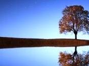 Remembering Great Patriot Subramaniya Aiyar