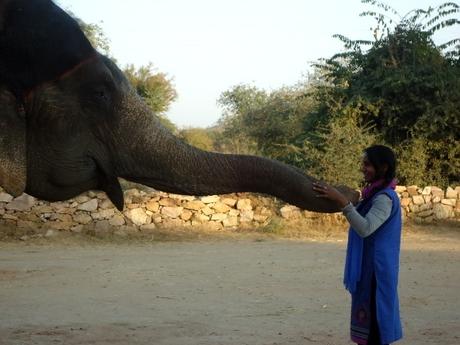 Sarah Tej says hello! Elephant Experiences in Jaipur, India