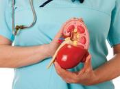 Treat Chronic Kidney Disease Through Ayurveda?