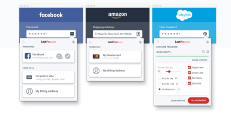 How to Speed up WordPress Development Password manager