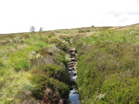 The Pennine Way Hikers: Sabrina Benoit The Pennine Way Hikers: Sabrina Benoit