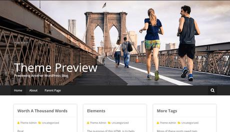 15 Best WordPress Gallery Themes 15 Best WordPress Gallery Themes