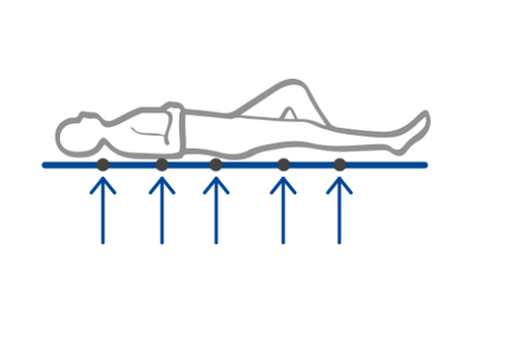 proper blood circulation with body shapes and weights