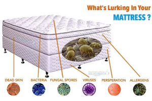 Amerisleep Vs. Casper Vs. Loom & Leaf Vs. Ghostbed