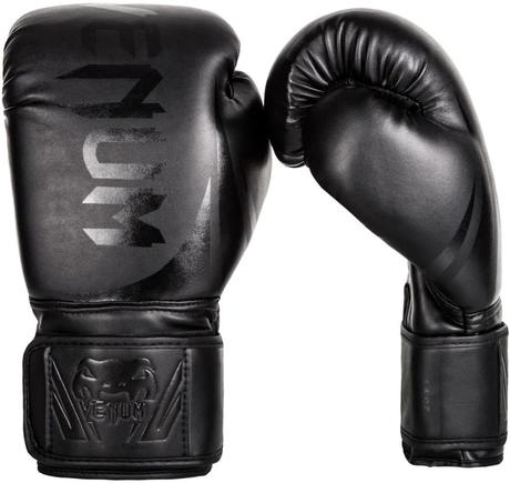 Best boxing gloves 2020