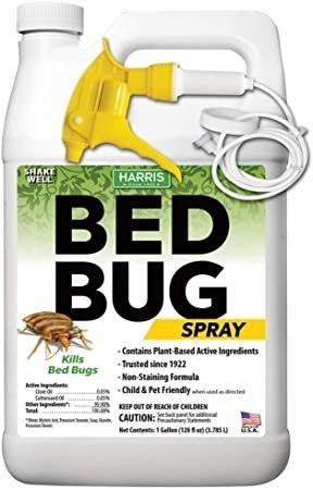 All There Is To Know About Bed Bug Sprays