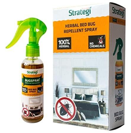 All There Is To Know About Bed Bug Sprays