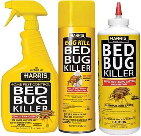 All There Is To Know About Bed Bug Sprays