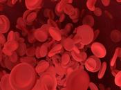 Natural Treatment Blood Disorders Vikram Chauhan