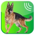 10 Best Dog Whistle Apps To Train Your Dog