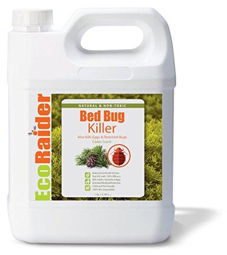 EcoRaider Bed Bug Killer Spray Jug, Green + Non-toxic, 100% Kill + Extended Protection, 128 Fl Oz (Pack of 1)