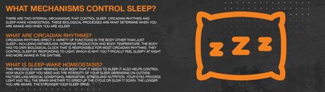 Why It’s Important to Have Healthy Sleep Habits