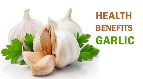 Health Benefits of Garlic