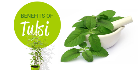 Health Benefits of Tulsi