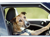 These Memes Explain Exactly Feel About Quarantine