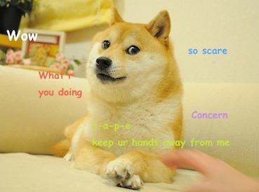 These Dog Memes Explain Exactly How We Feel About Quarantine