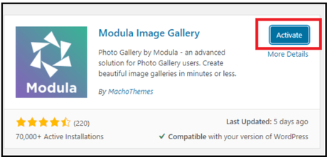How to Create an Image Gallery in WordPress (Step By Step)