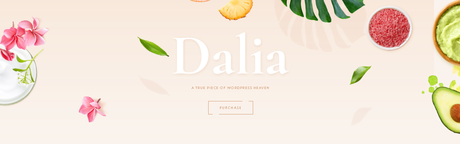 Lifestyle WordPress Theme Lifestyle WordPress Theme