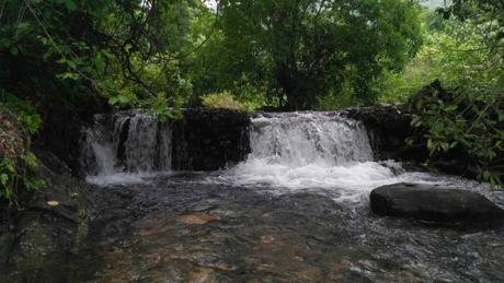 Charavane-Waterfall-Goa