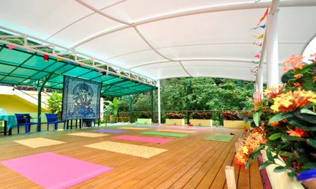 Top Yoga Teacher Training Centers in Thailand