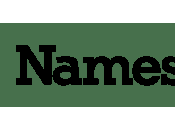 Future NamesCon Virtual?
