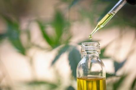 CBD Oil Brands To Pay Attention to in 2020 and Beyond