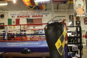 Following a Prominent Boxer, Sports Travel