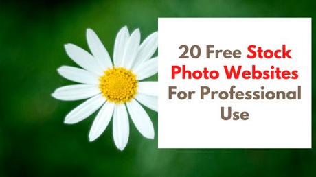 20 Free Stock Photo Websites For Professional Use