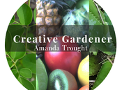 Creative Gardening Posts What Growing?