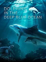 Image: Dolphins in The Deep Blue Ocean | The stunning undersea ballet of dolphins. Inspiring, playful, strong, fascinating, highly skilled animals with a special connection to humans. Watch them play around in the natural environment of the dolphin reef in Eilat, Israel, the world's largest seawater compound