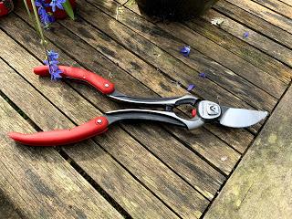 Product Review - Corona Max Forged Convertible Bypass Branch and Stem Pruner