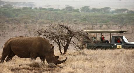 Enchanting Travels - Kenya Tours - Laikipia - Lewa Safari Camp - Wildlife Game Drive White Rhino