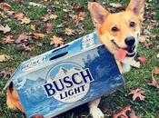 Bush Will Give Free Beer Three Months When Foster