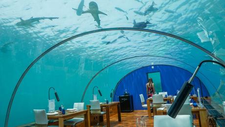 Conrad Maldives Restaurant Reviews – Which Are Worth Your Time?