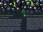 Elderberry: Benefits, Dosage Side Effects