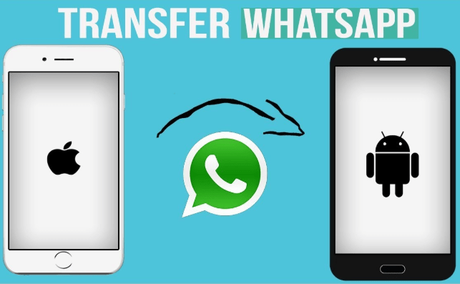 How to Move WhatsApp From iPhone to Android?