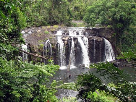 The best day trips out of Cairns