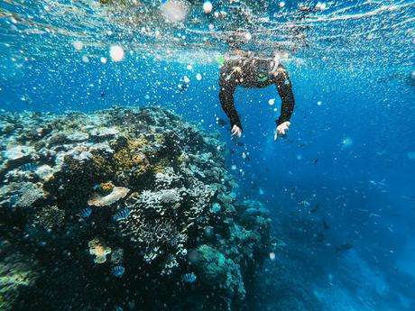 A Review of ‘Whitsunday Islands Tour with Whitehaven Beach’ A Review of ‘Whitsunday Islands Tour with Whitehaven Beach’