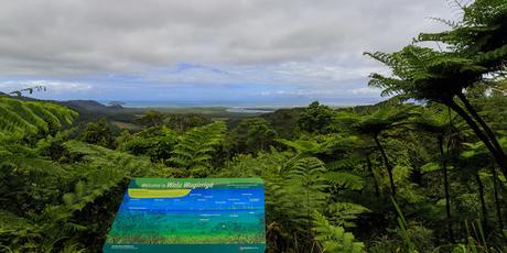 Daintree Rainforest – 1-day Cape Tribulation Tour