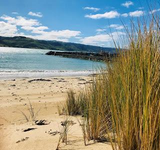 The Great Ocean Road in One Day