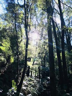 The Great Ocean Road in One Day