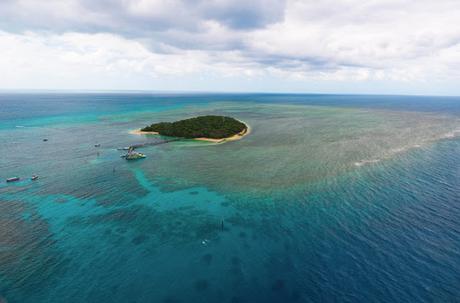 7 things you may not expect from a visit to the Great Barrier Reef 7 things you may not expect from a visit to the Great Barrier Reef