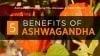 Ways Ashwagandha Benefits Mind Body