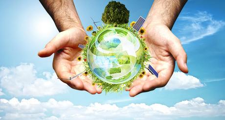 How Your Company Can Go Greener How Your Company Can Go Greener