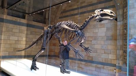 Dead as a Dodo Dead as a Dodo