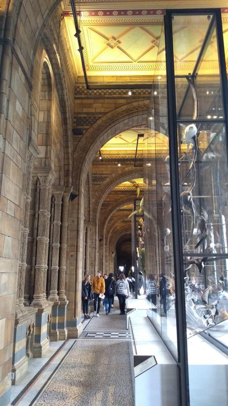 Dead as a Dodo Dead as a Dodo