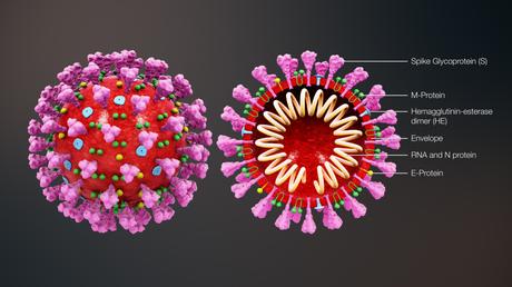 Thinking about the Spread of the Coronavirus (2) – Concepts